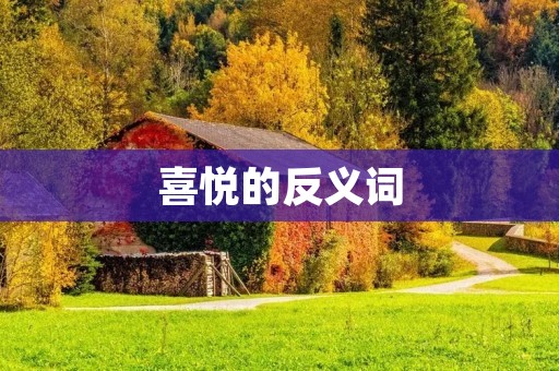 喜悦的反义词:悲伤
