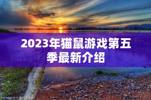 2023年猫鼠游戏第五季最新介绍