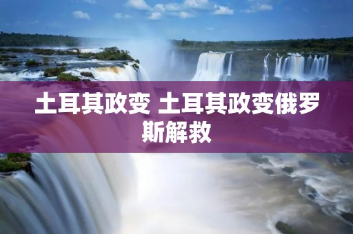 土耳其政变 土耳其政变俄罗斯解救