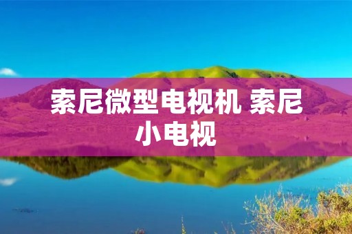 索尼微型电视机 索尼小电视