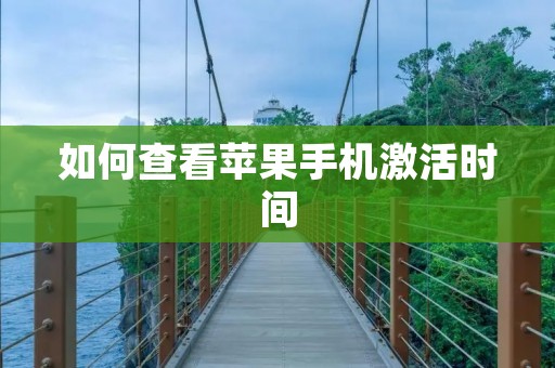如何查看苹果手机激活时间