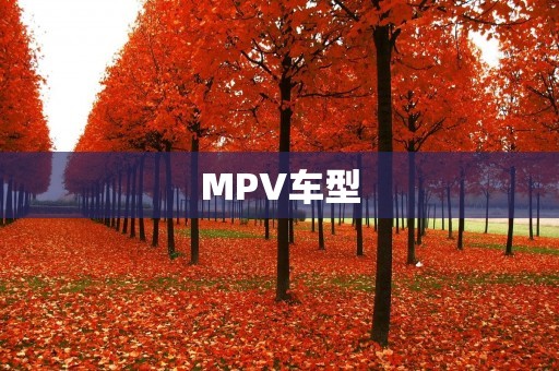 MPV车型：家庭出行的不二选择