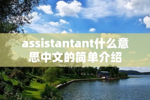 assistantant什么意思中文的简单介绍 assistantant什么意思中文的简单介绍