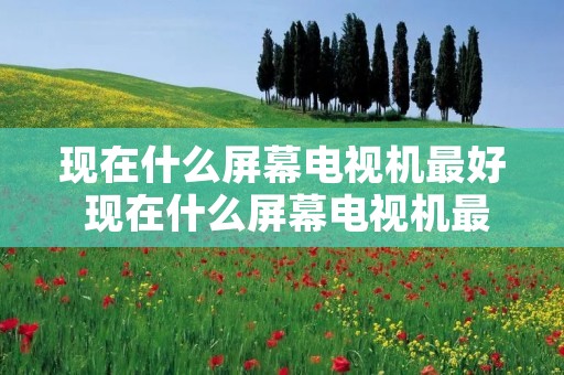 现在什么屏幕电视机最好 现在什么屏幕电视机最好的 现在什么屏幕电视机最好 现在什么屏幕电视机最好的