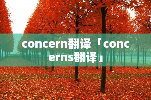 concern翻译「concerns翻译」