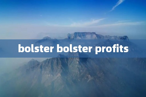 bolster bolster profits
