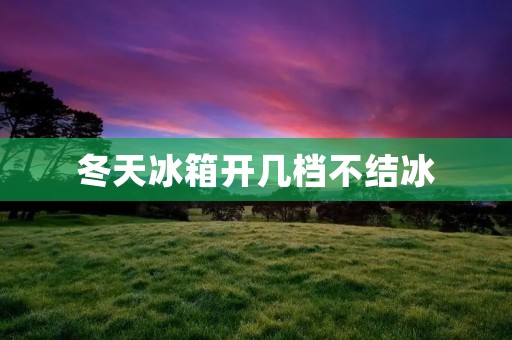 冬天冰箱开几档不结冰：详解决策