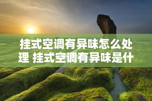 挂式空调有异味怎么处理 挂式空调有异味是什么原因