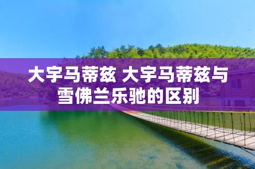 大宇马蒂兹 大宇马蒂兹与雪佛兰乐驰的区别 大宇马蒂兹 大宇马蒂兹与雪佛兰乐驰的区别