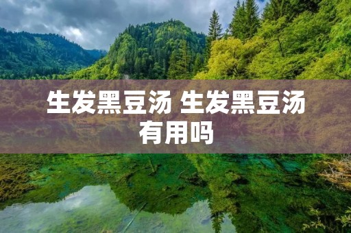生发黑豆汤 生发黑豆汤有用吗