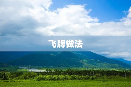 飞牌做法：享受**与乐趣的秘诀