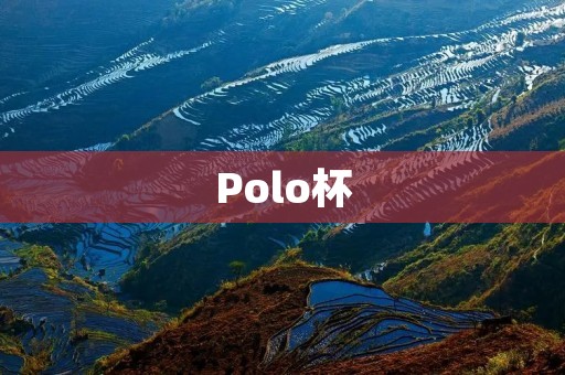 Polo杯：传统与现代的碰撞