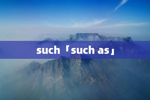 such「such as」 such「such as」