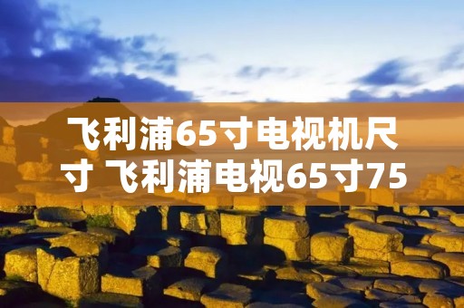 飞利浦65寸电视机尺寸 飞利浦电视65寸7565价格