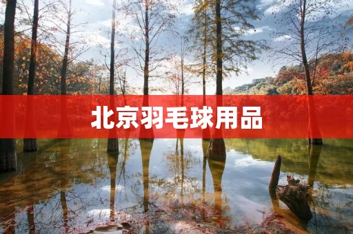 北京羽毛球用品：选择专业品牌，享受专业服务