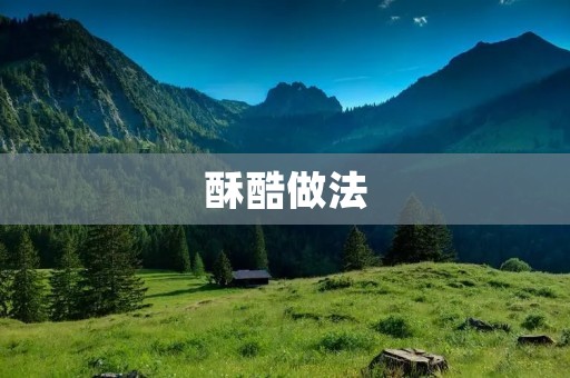 酥酷做法：让你的美食更加诱人