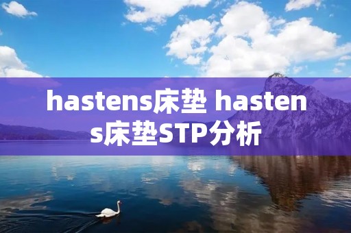 hastens床垫 hastens床垫STP分析