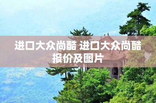 进口大众尚酷 进口大众尚酷报价及图片