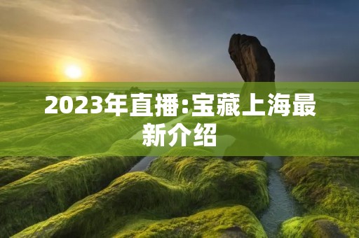 2023年直播:宝藏上海最新介绍
