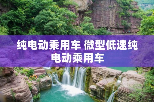 纯电动乘用车 微型低速纯电动乘用车 纯电动乘用车 微型低速纯电动乘用车