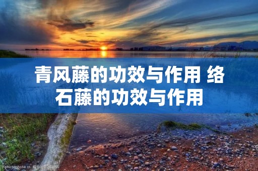 青风藤的功效与作用 络石藤的功效与作用
