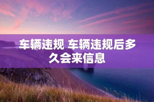 车辆违规 车辆违规后多久会来信息