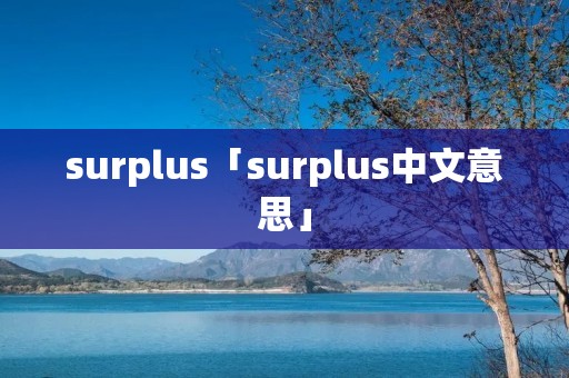 surplus「surplus中文意思」