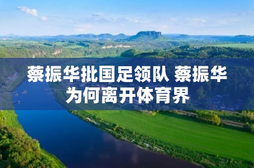 蔡振华批国足领队 蔡振华为何离开体育界