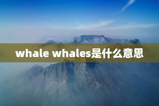 whale whales是什么意思