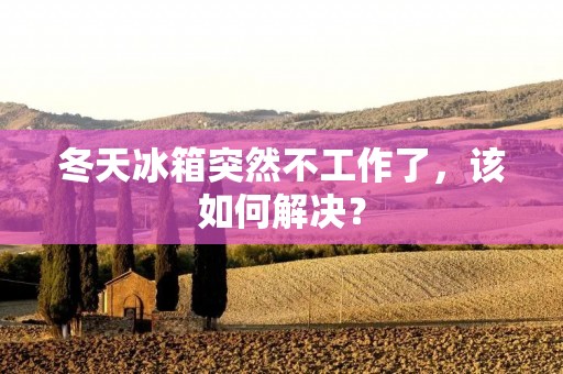 冬天冰箱突然不工作了，该如何解决？