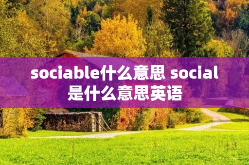 sociable什么意思 social是什么意思英语