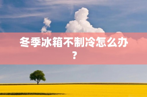 冬季冰箱不制冷怎么办？