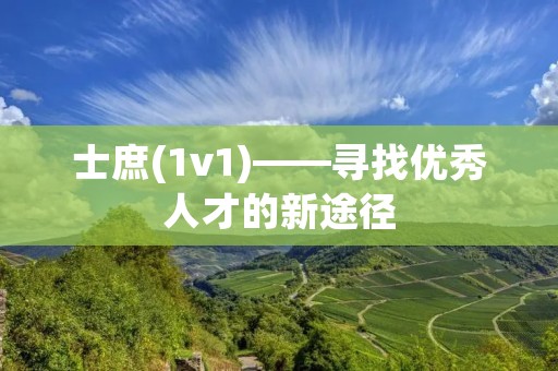 士庶(1v1)——寻找优秀人才的新途径