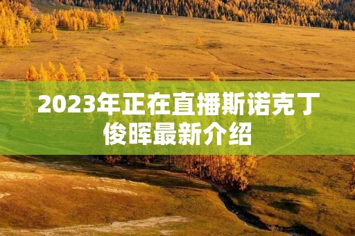 2023年正在直播斯诺克丁俊晖最新介绍