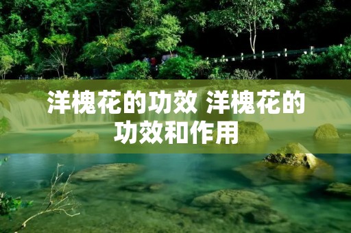 洋槐花的功效 洋槐花的功效和作用 洋槐花的功效 洋槐花的功效和作用