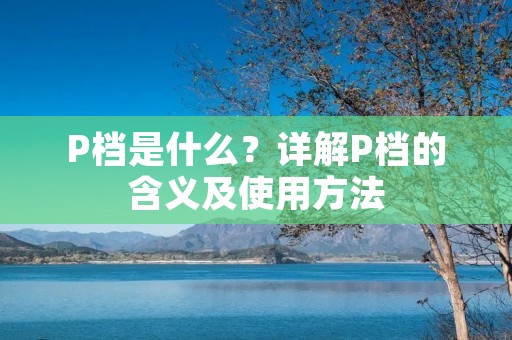 P档是什么？详解P档的含义及使用方法
