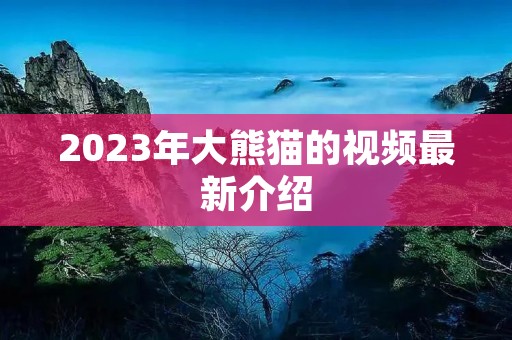 2023年大熊猫的视频最新介绍 2023年大熊猫的视频最新介绍