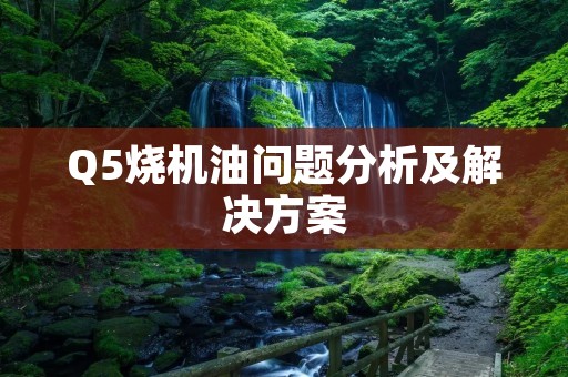 Q5烧机油问题分析及解决方案