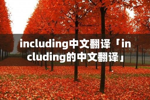 including中文翻译「including的中文翻译」