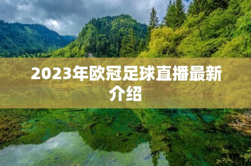 2023年欧冠足球直播最新介绍