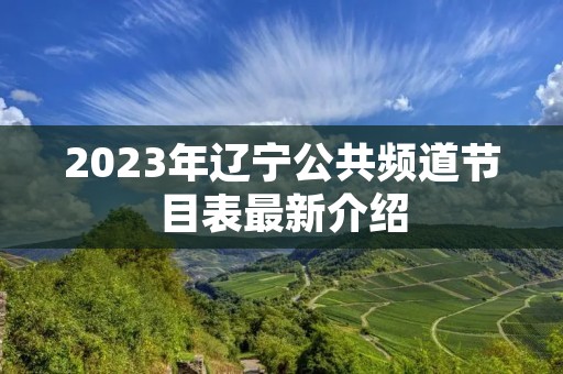 2023年辽宁公共频道节目表最新介绍