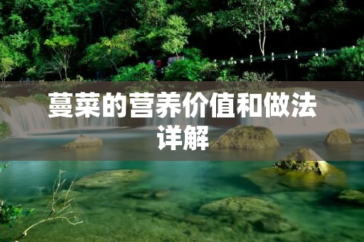 蔓菜的营养价值和做法详解 蔓菜的营养价值和做法详解
