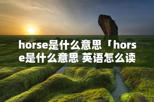 horse是什么意思「horse是什么意思 英语怎么读」