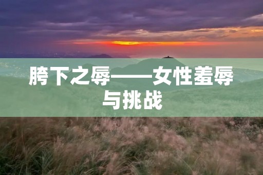 胯下之辱——女性羞辱与挑战 胯下之辱——女性羞辱与挑战