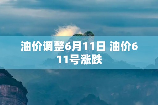 油价调整6月11日 油价611号涨跌