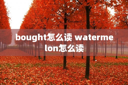 bought怎么读 watermelon怎么读