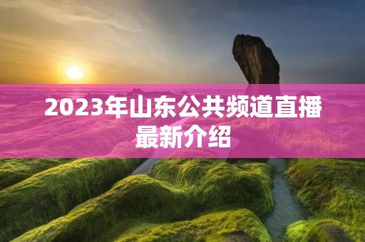 2023年山东公共频道直播最新介绍