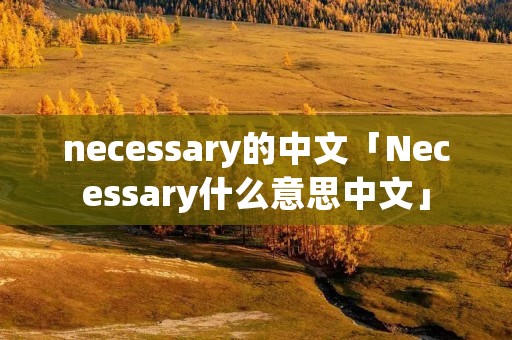necessary的中文「Necessary什么意思中文」