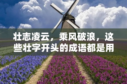 壮志凌云,乘风破浪,这些壮字开头的成语都是用来形容人们的斗志和追求的。在人生的道路上,每个人都需要有自己的壮志,才能在困境中不被击垮,在挫折中不放弃,最终达到自己的目标。