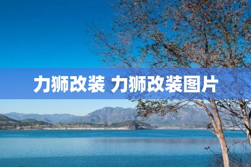力狮改装 力狮改装图片 力狮改装 力狮改装图片
